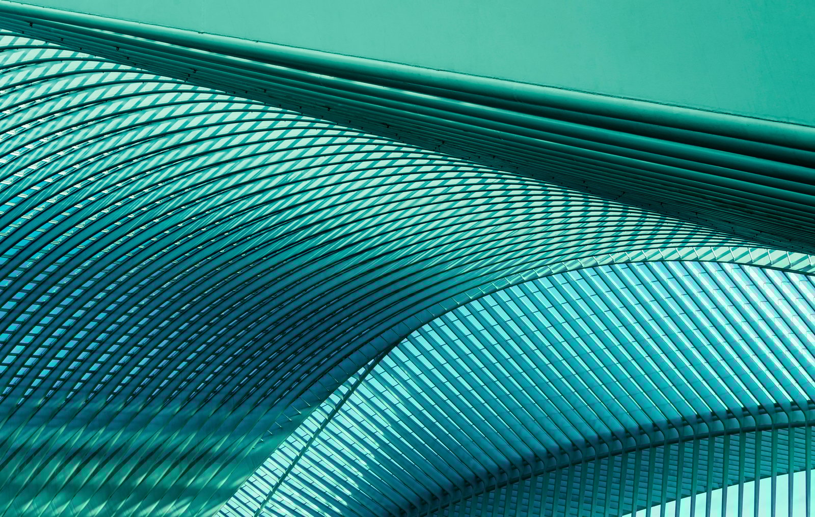 AdobeStock_435876435_1600_0_72_RGB