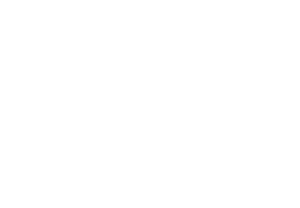 IMS-LOGO-WHITE-300x208-1