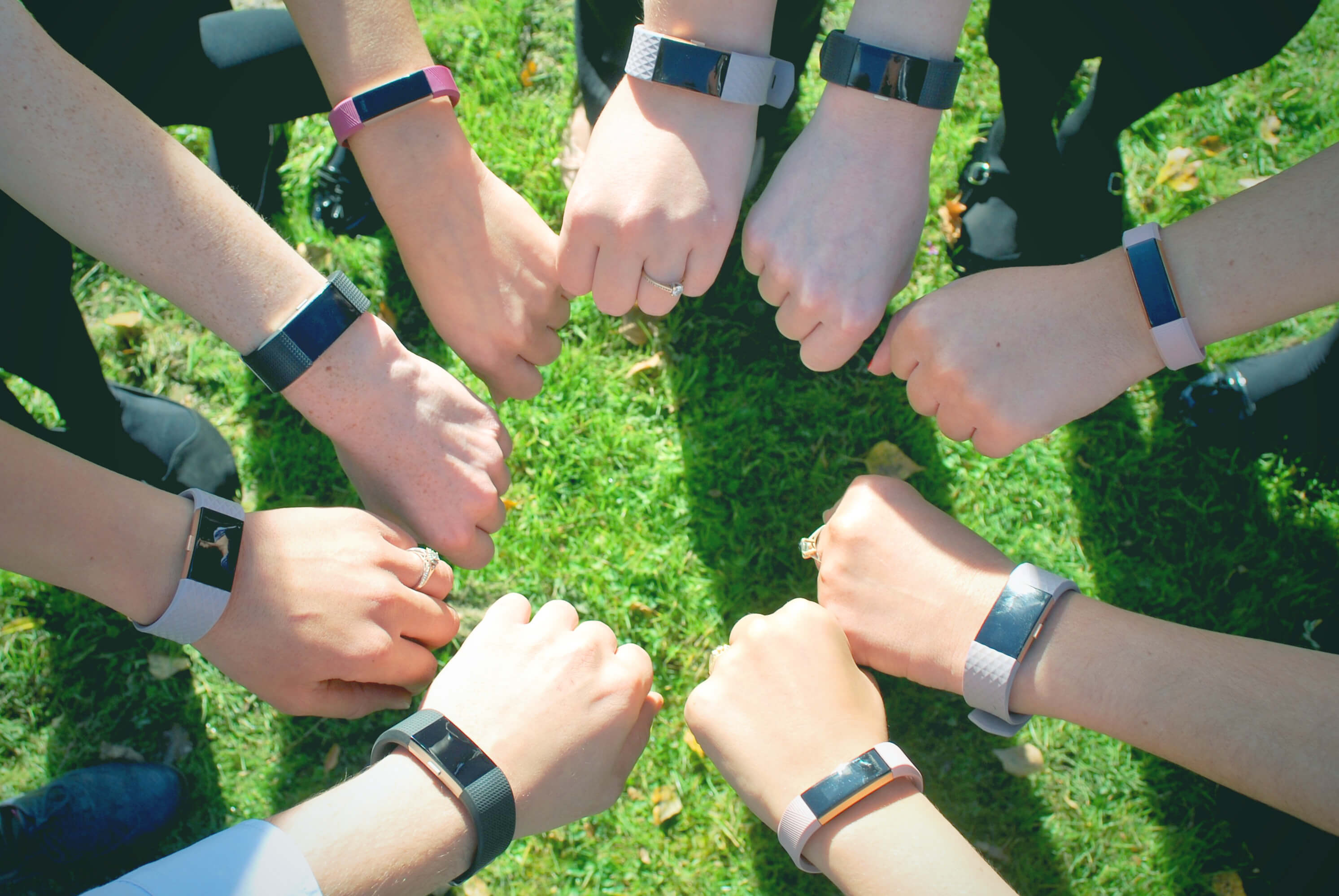 Onecom staff step up as company launches Fitbit fitness drive