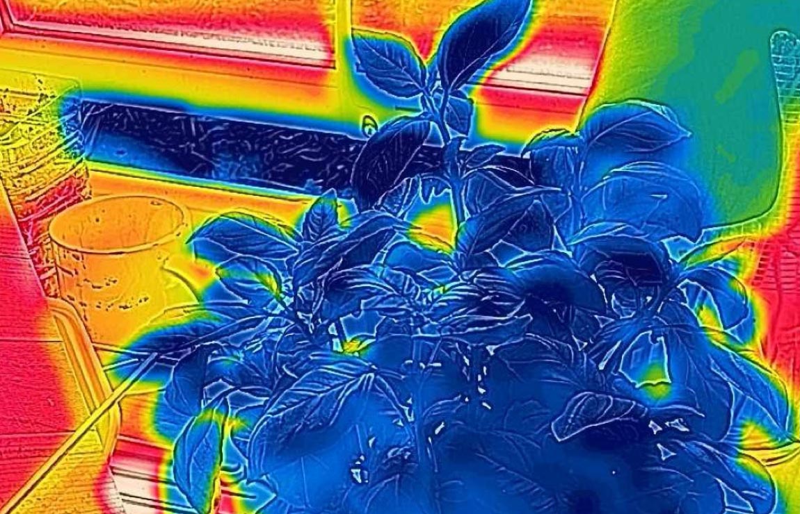 THERMAL