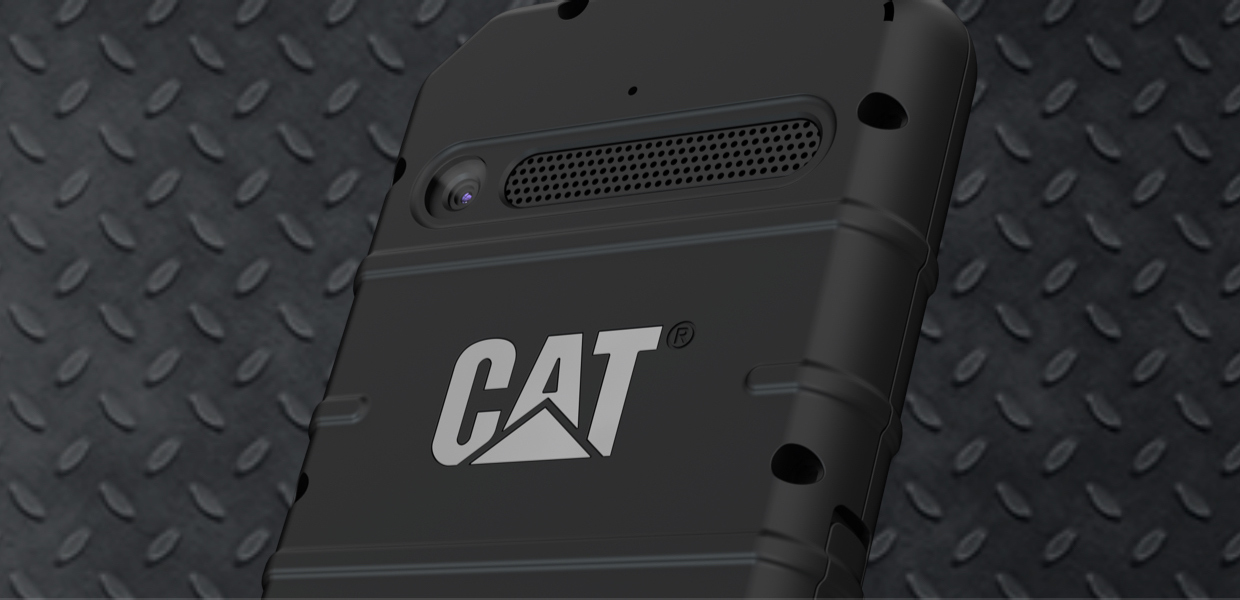 cat1