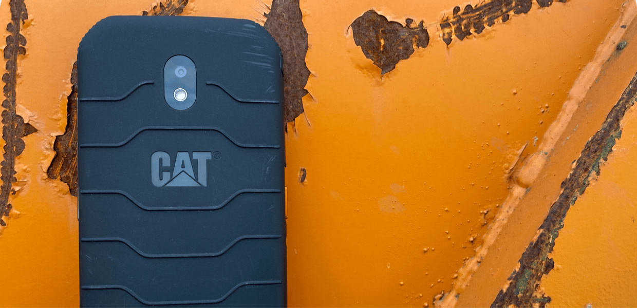 cat 4