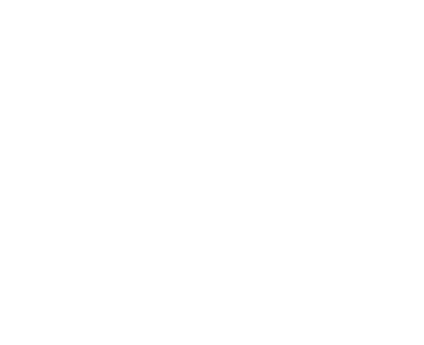 Foundation